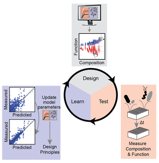 Graphic illustration of steps of the design-test-learn cycle