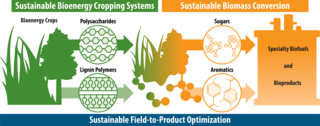 Graphic explaining how plants are turned into fuel and chemicals