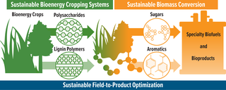 A diagram illustrating GLBRC's three research areas, Sustainable Bioenergy Cropping Systems, Sustainable Biomass Conversion, and Sustainable Field-to-product Optimization