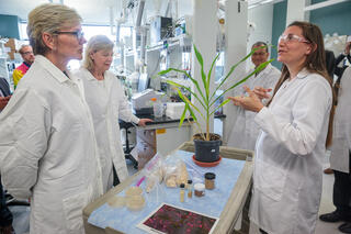 Researcher with plant talks to officials in lab
