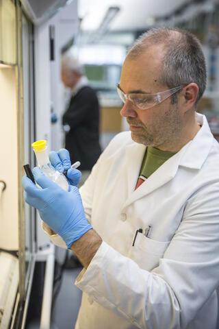 Scientist Steve Karlen works in a laboratory at the Wisconsin Energy Institute