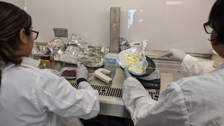 Sreejata Bandopadhyay and co-researcher sit side-by-side working on soil samples.