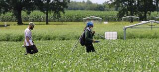 Two researchers walk through a field holding equipment