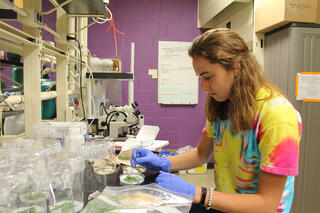 Mandy Lietz in the lab