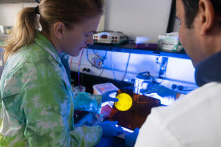 Woman and man looking at glowing petri dish