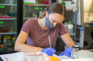 In the center, Megan Mader takes notes sitting at a lab bench.