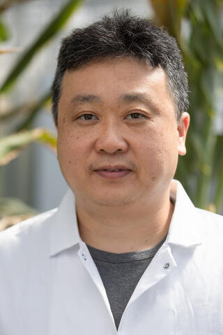 Dae Kwan Ko