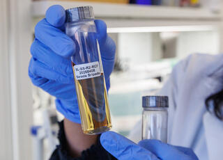 Blue-gloved hands hold a labeled vial of amber-colored RCF (reductive catalytic fractionation) lignin oil product alongside an empty sample vial in a laboratory.