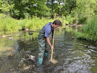 Ben Bridge, a young man in waders, searches through shin-deep water in a creek using a long stick.