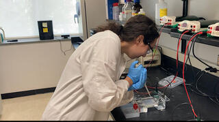 Sydney Buchsbaum, a young women in a lab coat, uses a pippette at a lab bench.