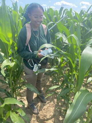 Jules Seay observing switchgrass