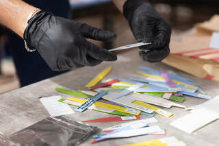 Gloved hands sort through a collection of multicolored plant identification labels and stakes on a workbench, with labeled paper pollination bags visible in the background.