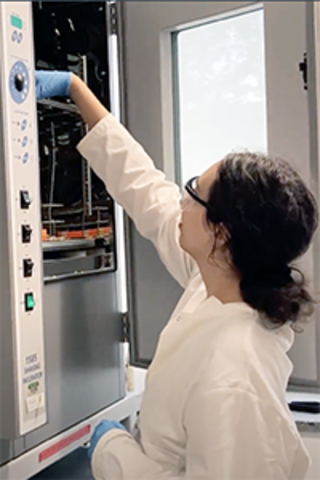A young student reaches into an incubator