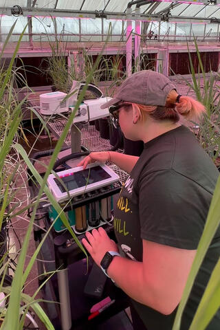 A young student working on a project in a greenhouse.