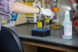 a close up of a hand picks up testing tubes in a lab. 