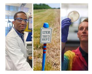 A collage of images featuring researchers from the Great Lakes Bioenergy Research Center