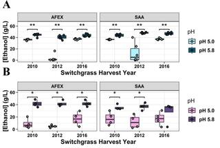 Boxplots showing ethanol production (g/L) from switchgrass fermentation by AFEX and SAA microbes across harvest years 2010, 2012, and 2016 at pH 5.0 and 5.8. Panel A shows AFEX achieving ~40-50 g/L ethanol with minimal pH effect, while SAA shows lower titers (~20-40 g/L) with better performance at pH 5.8. Panel B displays similar patterns with some variation in titer ranges. Statistical significance indicated by asterisks between pH conditions.