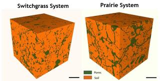 Two orange and green blocks, the left one labeled "switchgrass system" and the right labeled "prairie system"