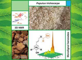 Cover of the journal ACS Sustainable Chemistry & Engineering