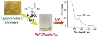 Graphic of the process and chemicals used in the new CASA lignin method.