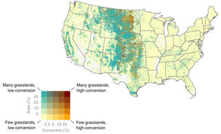 U.S. converted croplands