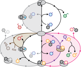 Illustration showing a series of catalytic reactions