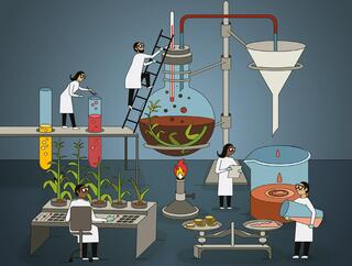 Cover graphic illustrating the conversion of biomass into bioproducts