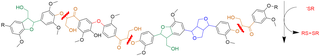 An illustration depicting where thiols help break bonds in the lignin polymer