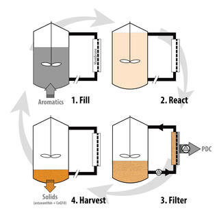 Four-stage cyclic diagram of a membrane bioreactor sequencing batch process: (1) Fill — aromatics fed into reactor; (2) React — microbial conversion occurs; (3) Filter — membrane separates PDC product; (4) Harvest — solids containing astaxanthin and CoQ10 are collected.