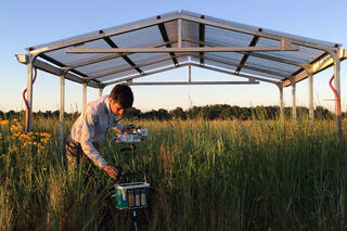 Mauricio Tejera-Nieves works on a machine that measures photosynthetic rates in a switchgrass field.