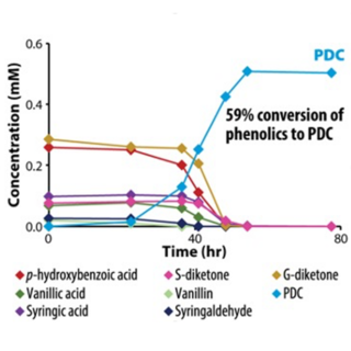 A colorful line graph comparing time and concentration of conversion of phenolics to various substances; PDC has the highest conversion rate