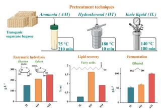 flowchart and bar charts show the processing of transgenic sugarcane bagasse using three pretreatment techniques: Ammonia (AM), Hydrothermal (HT), and Ionic liquid (IL). The techniques vary in temperature and time. Subsequent stages include enzymatic hydrolysis (producing glucose and xylose), lipid recovery (producing fatty acids), and fermentation (producing ethanol), with varying yields shown in bar graphs.