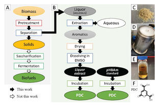 Flowchart compares standard aqueous ammonia pretreatment of biomass (hollow arrows) with an experimental approach (solid arrows). The standard path leads to biofuels via saccharification and fermentation. The experimental pathway extracts aromatics from separated liquor, processes them through drying and DMSO dissolution, then incubates both the liquor extract and pHBAm standard to produce PDC compounds. Laboratory images show corresponding materials and equipment, with PDC's molecular structure displayed.