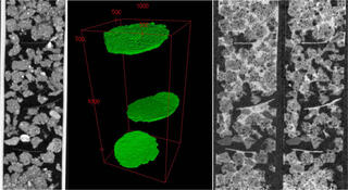 X-ray and neutron-computed tomography images of leaves in soil