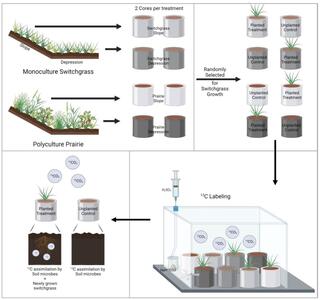 Clockwise from upper left, illustration of crop systems, soil samples, plantings, carbon labeling, and assessment