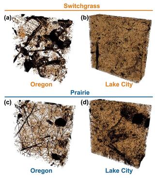 X-ray images of soil pores from switchgrass and prairie systems in Oregon and Lake City