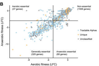 Scatterplot of Z. mobilis genes represented by blue, orange, and gray dots.