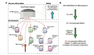 Flow chart diagram illustrating process used to evaluate microbial communities in various residues