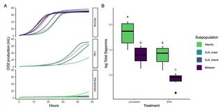 Panel A plots CO2 production for four switchgrass subpopulations (Atlantic, Gulf Coast, Gulf Inland, Midwest) across Normal, Lag, and Recalcitrant fermentation profiles. Panel B box plots compare log Total Saponins for untreated versus SAA treatments, showing Atlantic biomass has higher initial saponins than Midwest, while SAA treatment reduces levels in both groups.