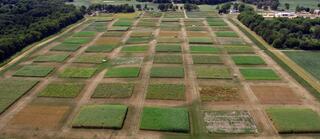 Aerial view of field with grid of square-shaped plots