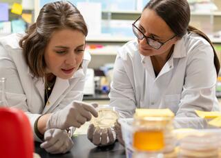 Two women in white lab coats look at a petri dish held by the woman on the left as they stand at a work bench in a lab setting