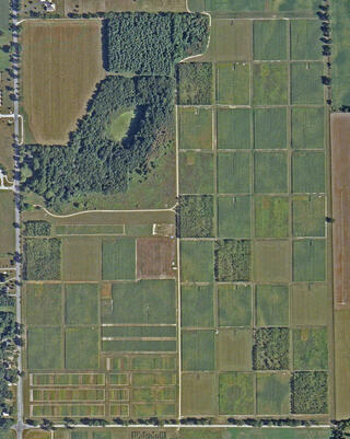 Satellite image showing a rectangular plots in varying shades of green and brown