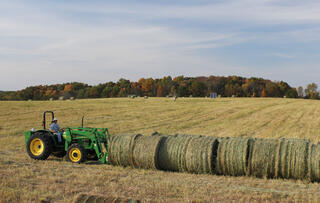 Tractor with bales of switchgrass
