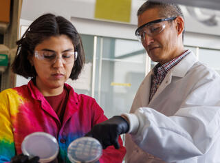 Two researchers wearing safety glasses examine bacterial culture plates in a laboratory, with one pointing to colony growth on an agar plate held by the other.