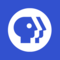PBS logo with three overlapping silhouettes in alternating blue and white looking to the right in a white circle on a blue square